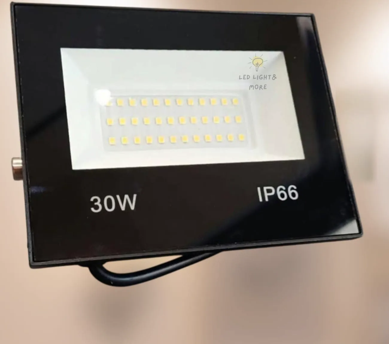 Black 30W IP66 LED floodlight