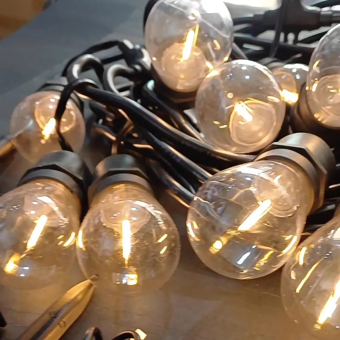 Solar string lights with clear warm bulbs